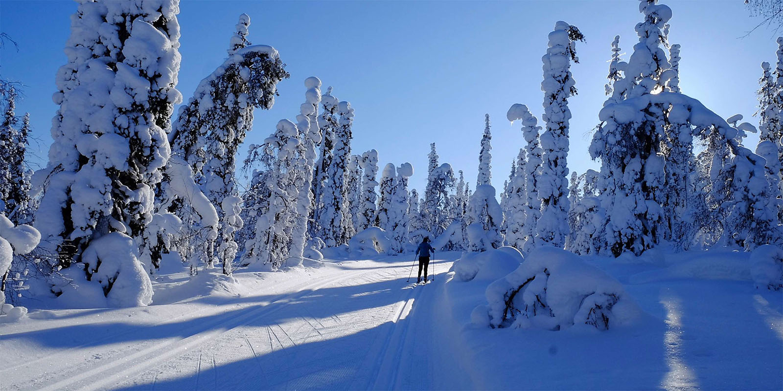Laponie finlandaise - activité sportive