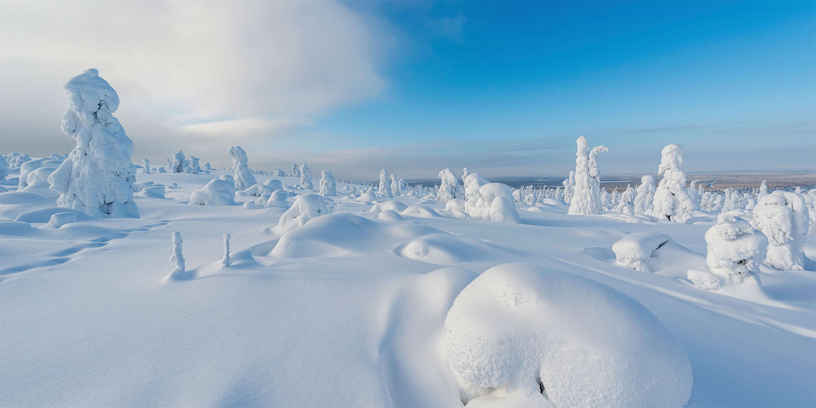 Laponie finlandaise - paysage
